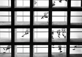 Gelman, Alan: Skleněný strop