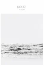 Studio, Miuus The: Oceánská fotografie