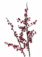 Böhmer, Mareike: Červené bobule 2