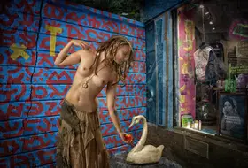 Gore, Tom: Leda krmí Labuť