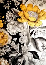 Jaszke, Justyna: Luční květiny 22