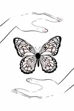 Martina: Drží Butterfly