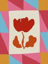 Studio, Art Miho: Bloom bum cirkus