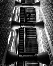 Steenhoudt, Sofie: Nahoru,nahoru,jde