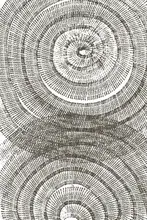 Martina: Věk stromu