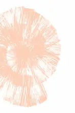 Martina: Peach Shell
