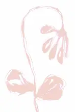 Martina: Peach Bloom