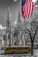 Viola, Melanie: NEW YORK CITY Katedrála svatého Patrika