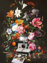 Dikhotomy: Květinové okamžité fotografie