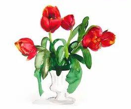 Lindstrom, Christine: tulipány