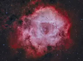 Rodriguez, Maria Rosa: Mlhovina Roseta
