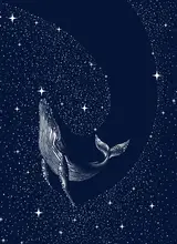 ÇAKIR, Alirıza: Hvězdná velryba