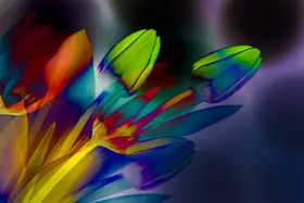 Son, van Greetje: Frivolní tulipány