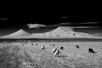 Manvelyan, Suren: hora Ararat