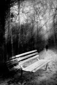 Graph, Andrei: Chyby