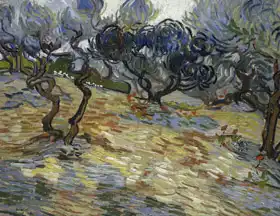 Gogh, Vincent van: Olivovníky