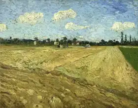 Gogh, Vincent van: Zorané pole