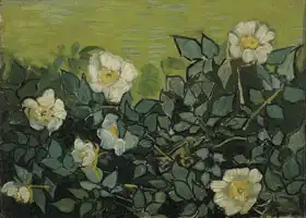 Gogh, Vincent van: Divoká růže