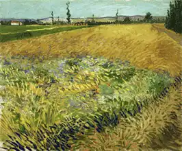Gogh, Vincent van: Obilné pole