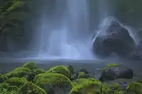 Zeng, Hong: Tančící víly