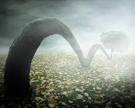 Laur, Vladimir: skákající strom