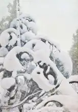 Halonen, Pekka: Sníh