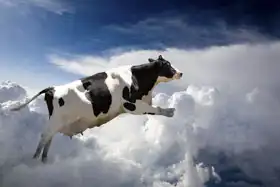 Neznámý: Super kráva letící nad mraky