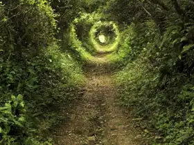 Neznámý: Světlo na konci tunelu