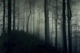 Neznámý: Temný les