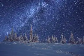 Neznámý: Zimní les a Mléčná dráha