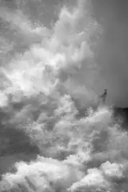 Fan, John: Zarputilý rybář