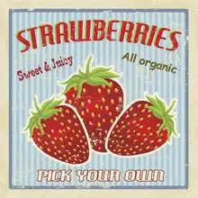 Neznámý: Strawberries