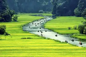 Neznámý: Rýžovém pole a řeka, NinhBinh, Vietnam