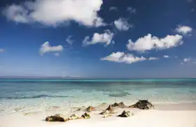 Neznámý: Tropická pláž