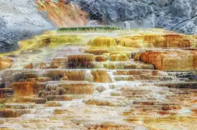 Neznámý: Yellowstone, Mammoth Hot Springs