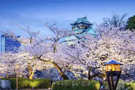 Neznámý: Hrad v Ósace, Japonsko