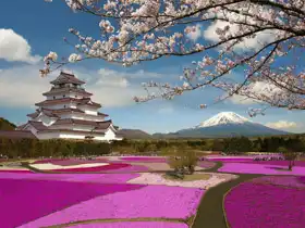 Neznámý: Jaro v Japonsku