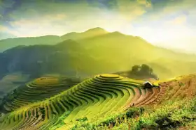 Neznámý: Rýžová pole na Mu Cang Chai, YenBai, Vietnam