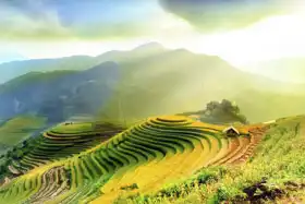 Neznámý: Rýžová pole na Mu Cang Chai