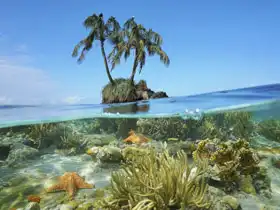 Neznámý: Ostrůvek v Karibském moři