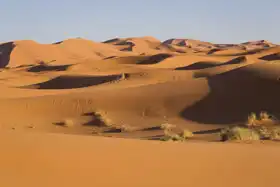 Neznámý: Západní Sahara
