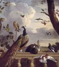Hondecoeter, Melchior: Ptáci u balustrády