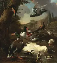 Hondecoeter, Melchior: Páv, holub, kachny a další ptáci v zahradě