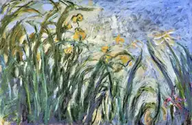 Monet, Claude: Žluté a růžové kosatce