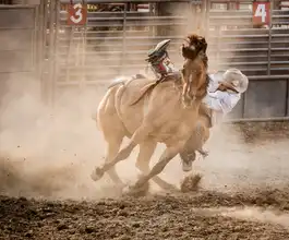 Heiser, Jay: Bez sedla Bronc