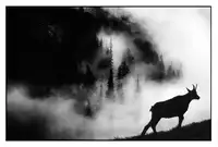 Stefan, Jacek: Agharta IV