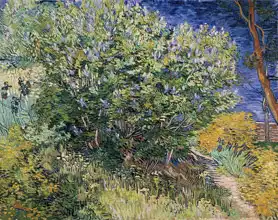 Gogh, Vincent van: Lilac Bush