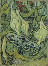 Gogh, Vincent van: Můra
