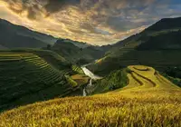 Intarob, Sarawut: RiceTerrace (Vietnam)