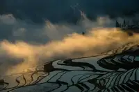 Mei, C.: Juxtapozice